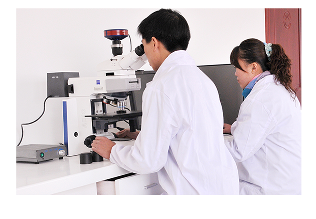 1577149451793254.png 6.png